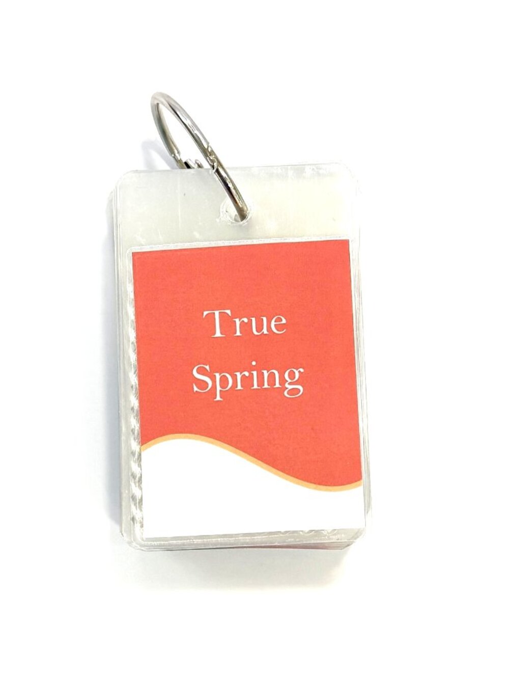 True Spring 25 Card Seasonal Color Palette - Style Solutions for You